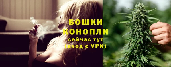 PSILOCYBIN Нязепетровск