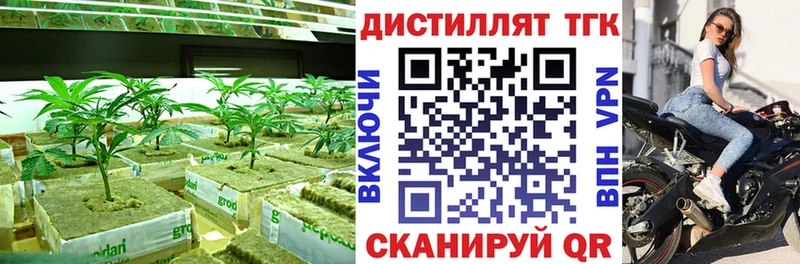 купить наркотик Кушва Дистиллят ТГК гашишное масло