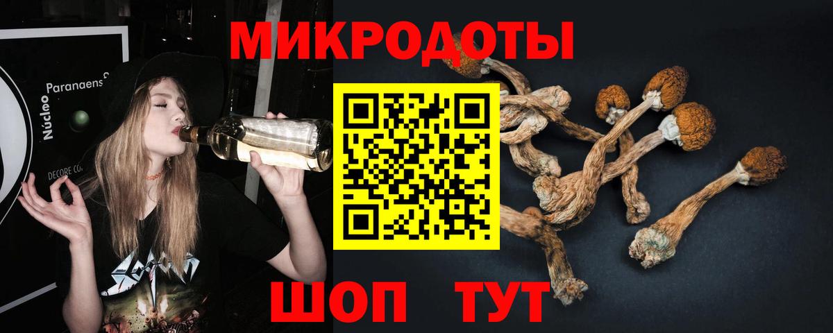 Псилоцибиновые грибы мицелий  Вход с VPN  Кушва 